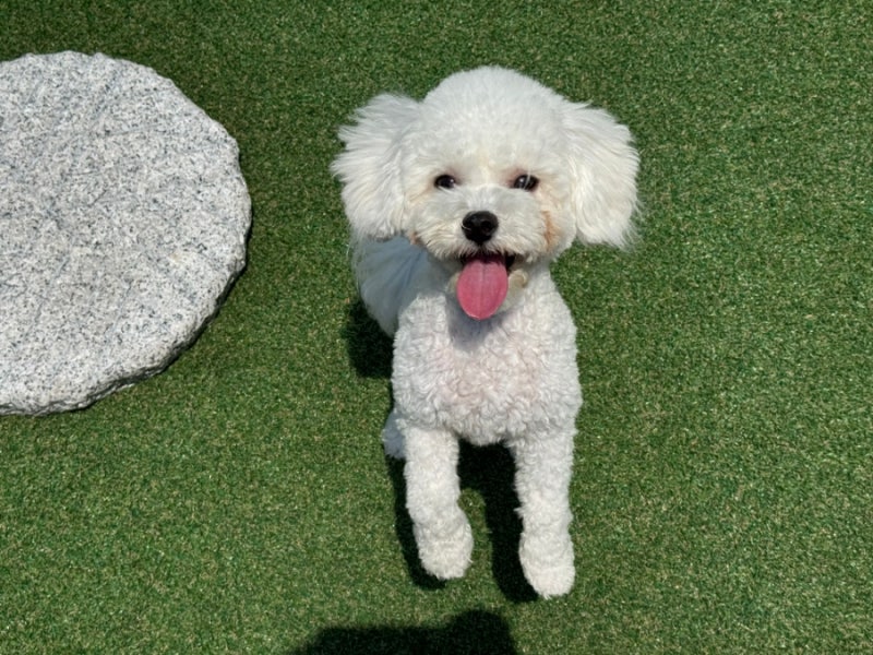 사진 6