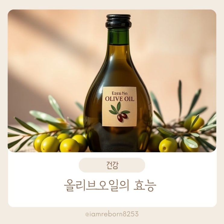  건강 다이어트 특급비결 올리브오일 효능 EVOO