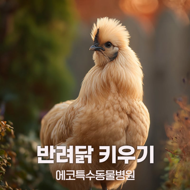 사진 8