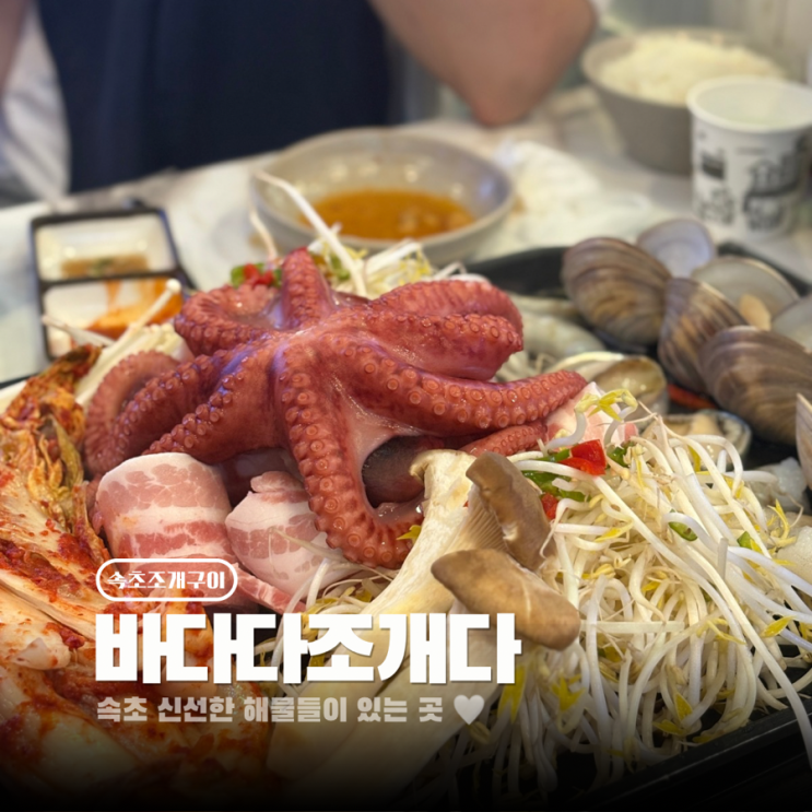  속초 조개구이 맛집 포차감성 바다다조개다 내돈내산 솔직후기