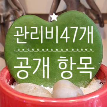 관리비등 47개 공개항목