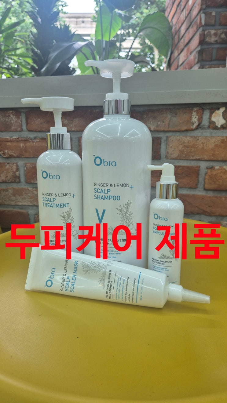  [대구/북구/칠곡/동천동/구암동/태전동] 두피케어 잘하는 미용실추천 어도러블헤어