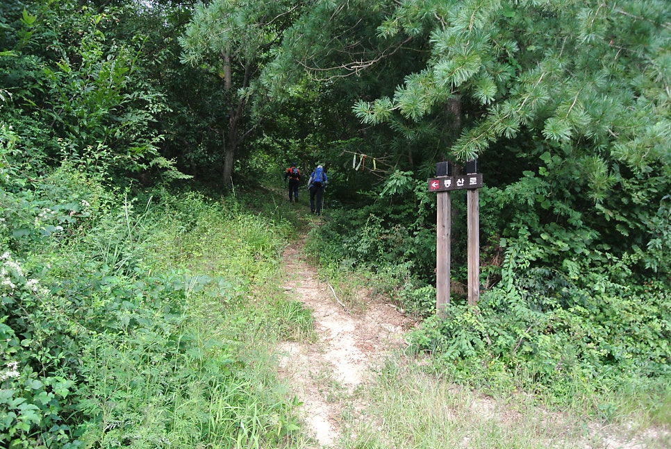 소군산 사진 5