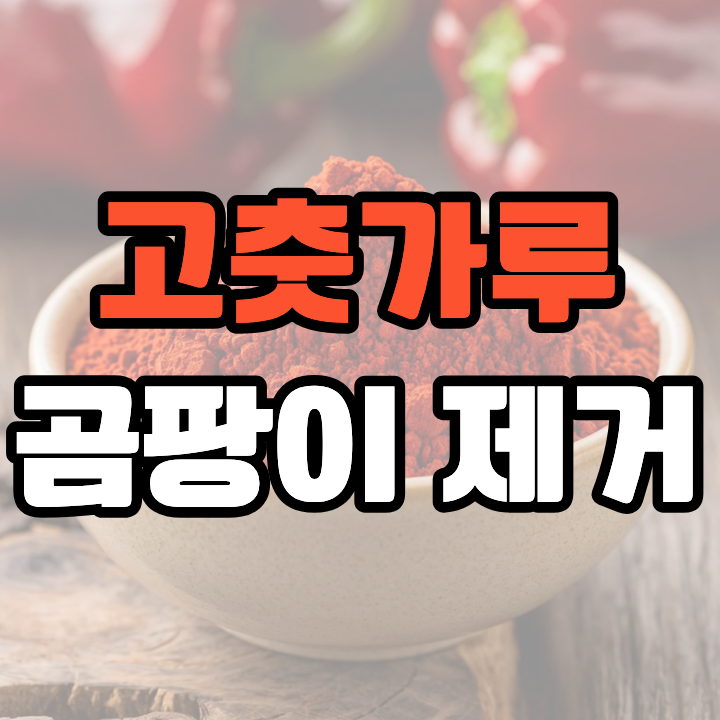고춧가루 곰팡이 제거방법과 구분법