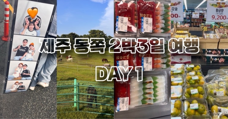  [제주여행] 9월 2박3일 제주 동쪽여행 : 제주시청 맛집 닥그네할망, 제주 포토이즘 점보네컷, 제주마방목지, 성산 하나로마트 회, 성산횟집 남양수산