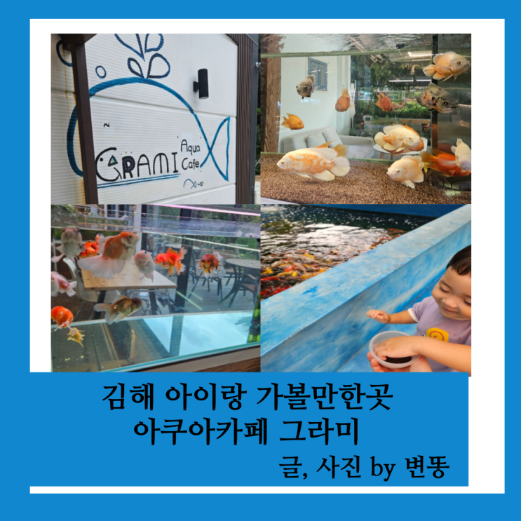  김해 아이랑 가볼만한곳, 김해 아이랑 실내: 아쿠아카페 그라미 내돈내산 찐 후기!(물고기들 엄청 깨끗하게 관리되고 너무 좋아요! 주말에는 사람 붐벼요!)