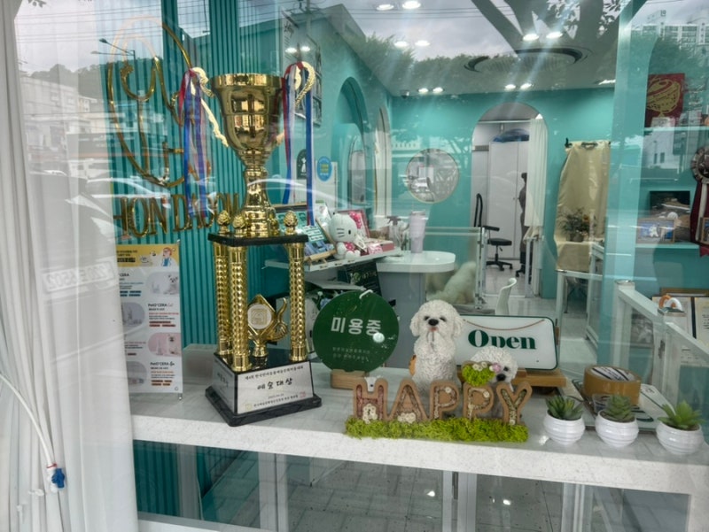 사진 2