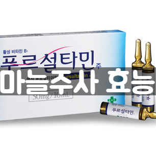 마늘주사효능 실비 가격 주의사항