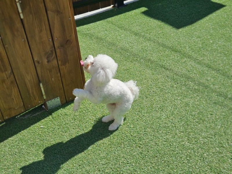 사진 5