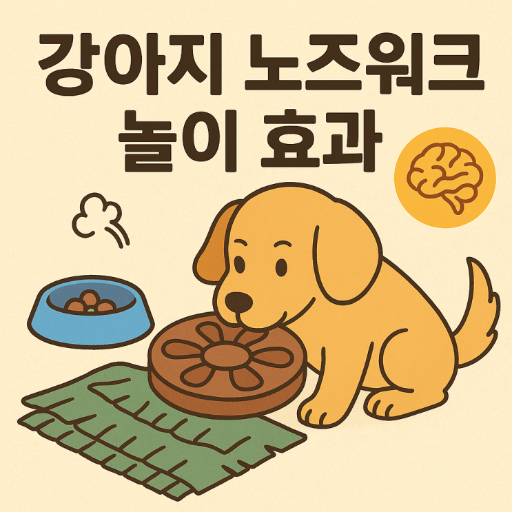  강아지 노즈워크 놀이 효과 — 후각 자극으로 건강과 행복을 동시에!