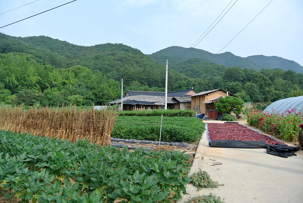 소군산 사진 3