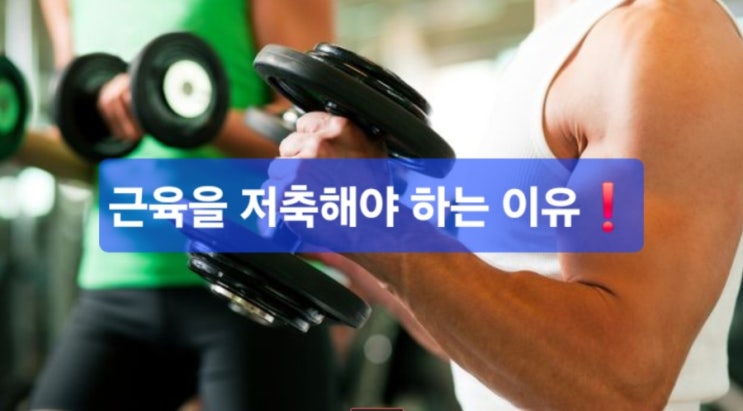   왜 근육은 저축처럼 쌓아야 할까?