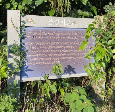 사진 8