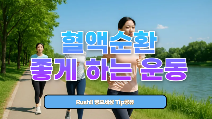  혈액순환이 살아난다! “혈액순환을 좋게 하는 운동” 완벽 가이드
