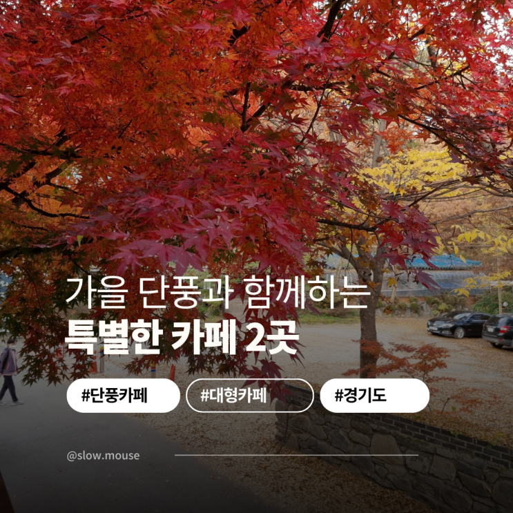  남한산성 카페 BEST 2, 가본 사람만 아는 진짜 매력은?