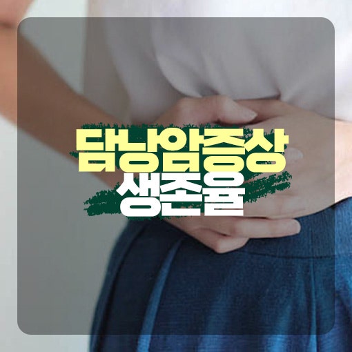 담낭암 초기증상 1기 2기 3기 4기 생존율 말기증상