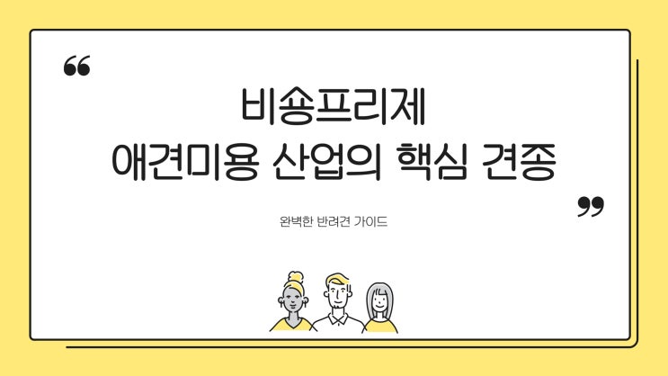 비쏭 비숑프리제, 애견미용 산업의 핵심 견종 - 완벽한 반려견 가이드