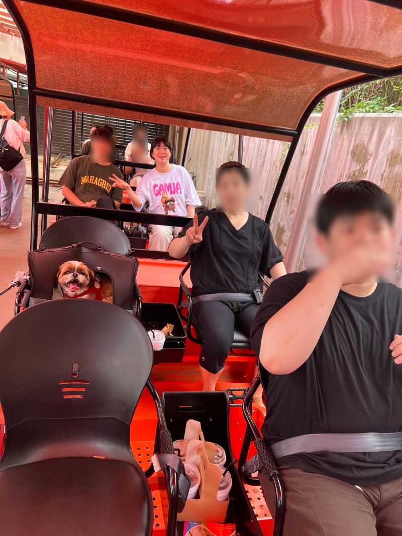 Chuncheon Kim Yu-jeong Rail Bike: Pet-Friendly and Cage Rental Available!