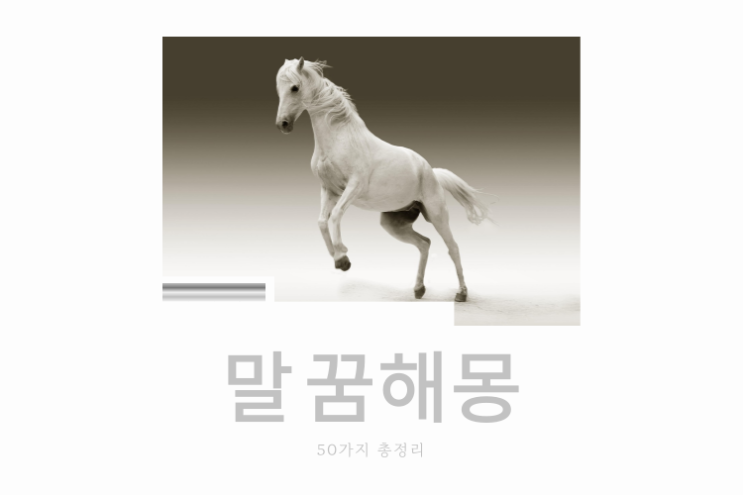  말 꿈해몽