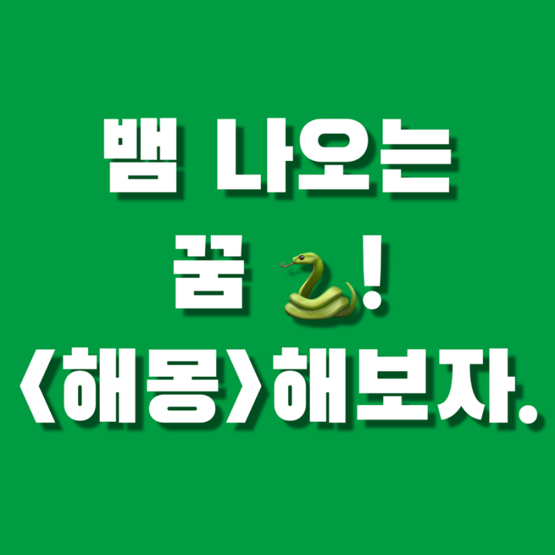 뱀 나오는 꿈 해몽(구렁이, 검은뱀, 큰뱀, 태몽, 물리는, 죽이는, 많이 나오는, 잡는, 쫓기는) ....