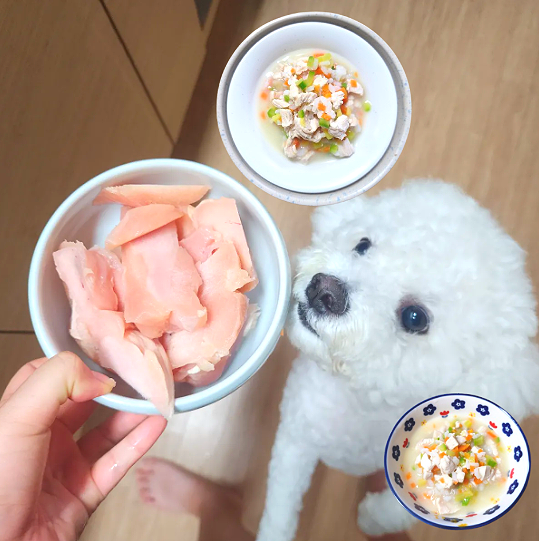 강아지 보양식 레시피 닭죽 중성지방