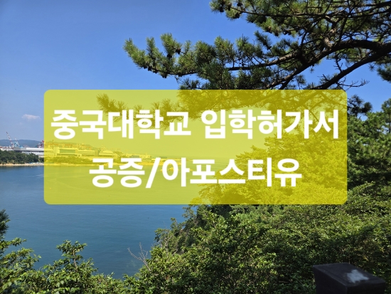 중국대학교 입학허가서 아포스티유 공증