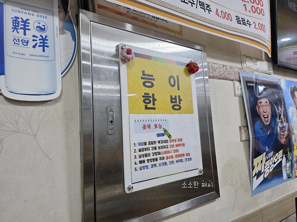 횡재한방오리 사진 4