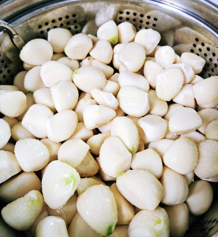  "우리 집 천연 보양식 밤꿀 마늘 절임 만들기!- 밤꿀과 마늘 효능"