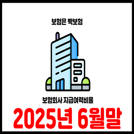  2025년 6월말 기준 보험회사 지급여력비율 현황