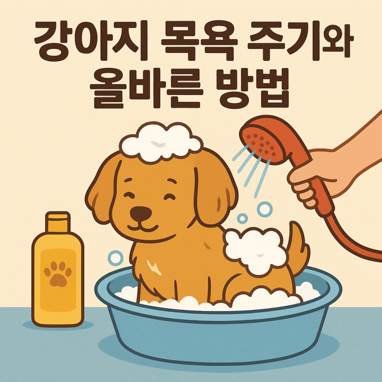  강아지 목욕 주기와 올바른 방법｜피부 건강 지키는 반려견 목욕 가이드