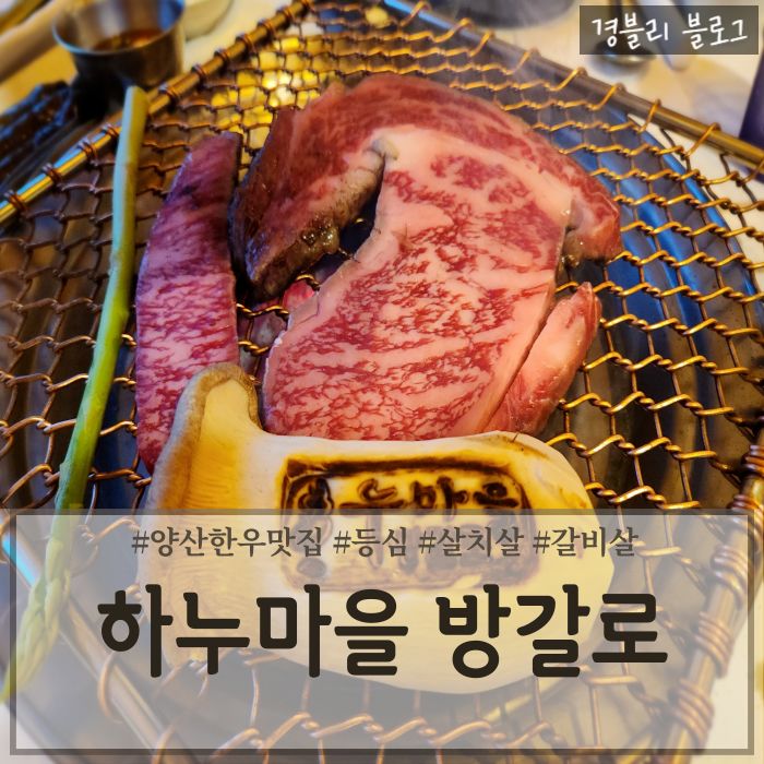  양산상북면한우맛집 양산개별룸식당 가족외식추천 '하누마을 방갈로'