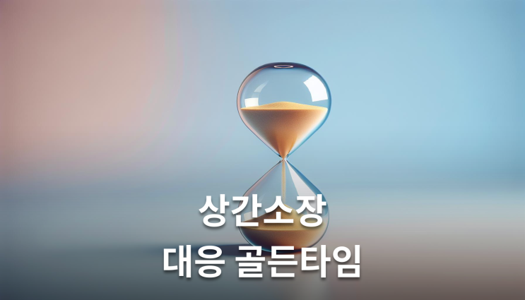  상간소장받았을때 30일 대응방법 놓치면 안되는 핵심정보