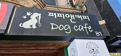 사진 2