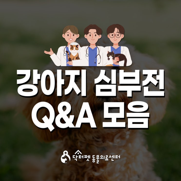  강아지 심장병 심부전 Q&A 부산 심장 내과 동물병원
