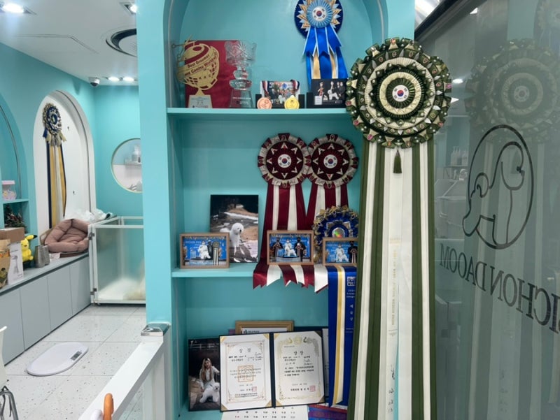 사진 3