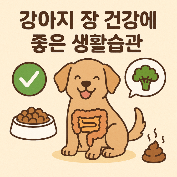  강아지 장 건강에 좋은 생활습관