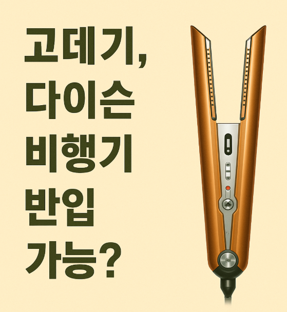  고데기 다이슨 비행기 기내반입 가능한가? 기내 반입 위탁 수화물 금지 정보
