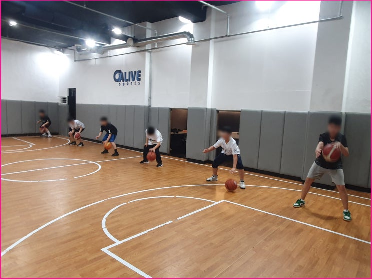  얼라이브스포츠클럽 대치동농구교실, 강남스포츠 추천 이유