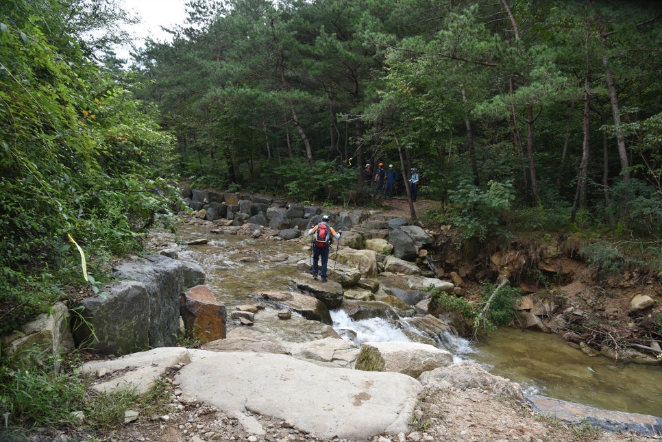 고무골 사진 6
