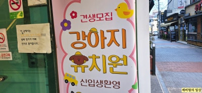 사진 3