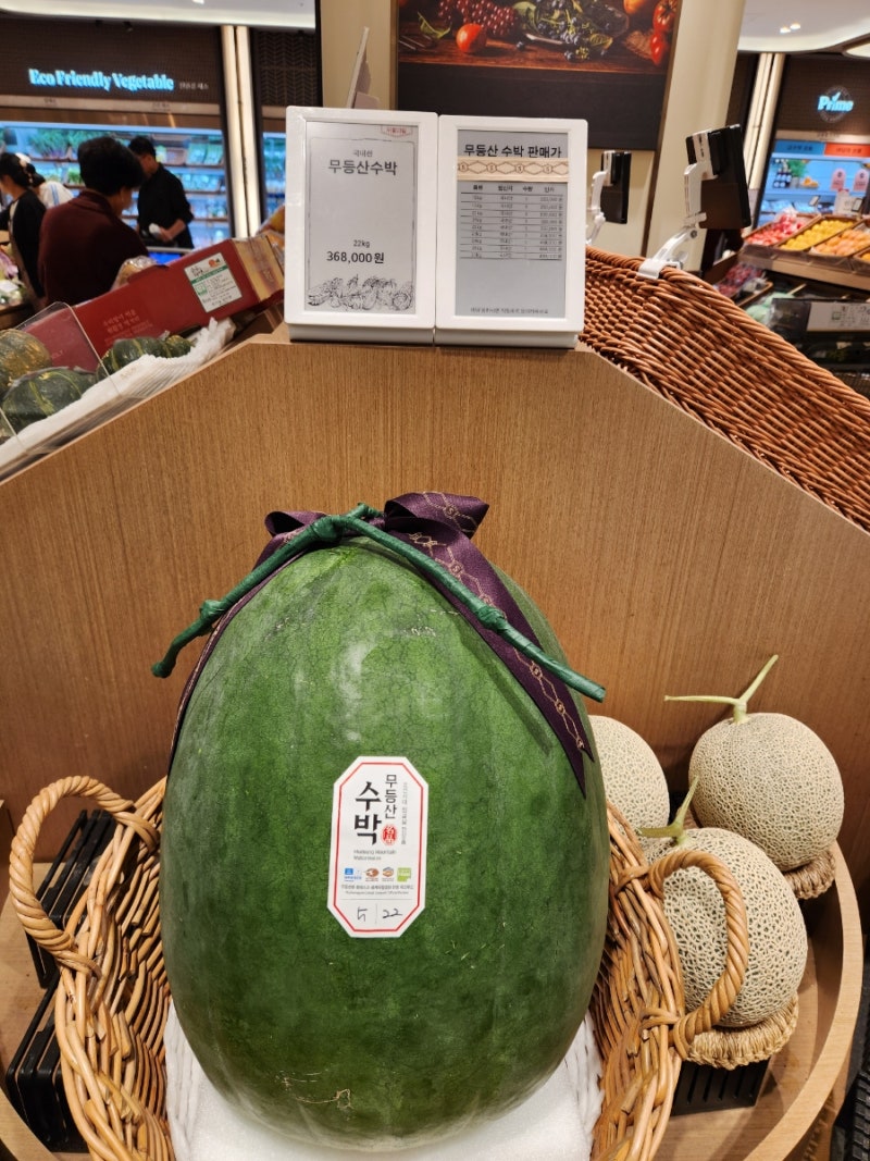무등산 수박 및 농가현황