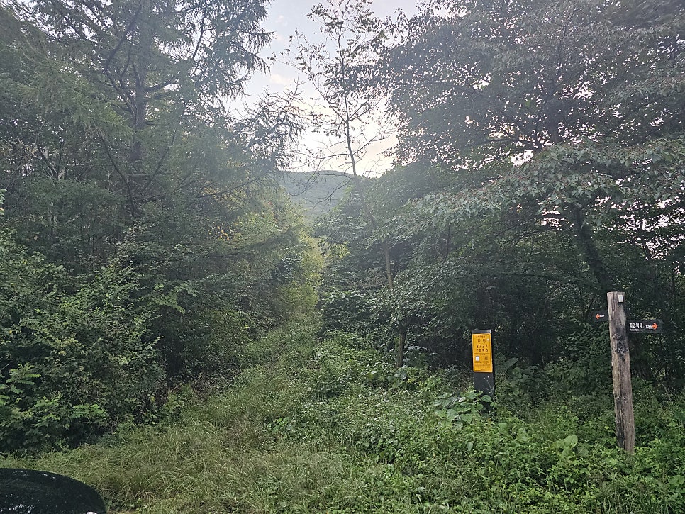 말골 사진 6