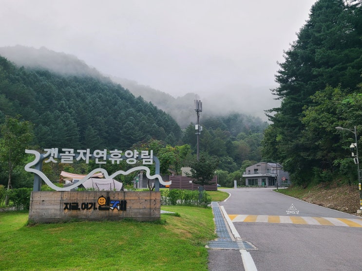  갯골자연휴양림 캠핑장 이용 예약 방법 데크 리뷰 (신생 휴양림)