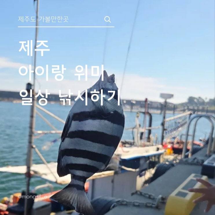  제주도 아기랑 체험낚시, 남원읍 가족여행 추천코스