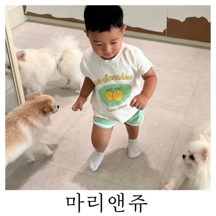  [부산아기체험]교감형 전포동 실내동물원 마리앤쥬 후기