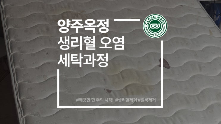  양주매트리스청소 침대 생리혈 핏자국 제거 세탁 과정
