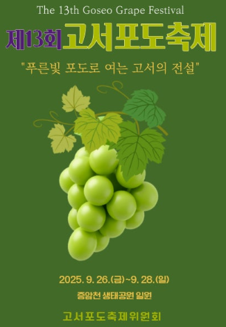  2025 담양 고서포도축제, '샤인머스캣' 성지순례! (다음 주말, 라인업, 꿀팁)