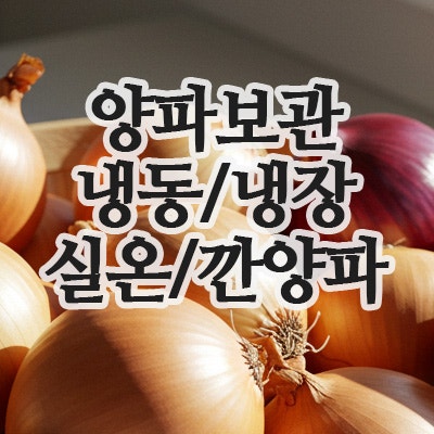  양파보관방법 - 냉장고, 냉동, 실온, 깐양파 오래보관법 총정리