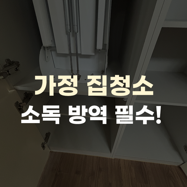  가정 집청소, 소독 방역 천안 서북구 지역이라면 필수?