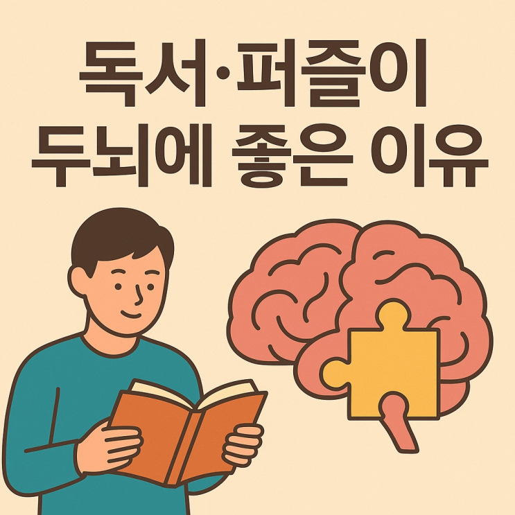  독서·퍼즐이 두뇌에 좋은 이유
